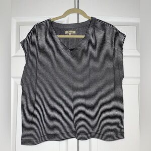 Madewell Relaxed V-Neck Tee Juniper Berry Navy Stripe BNWT L